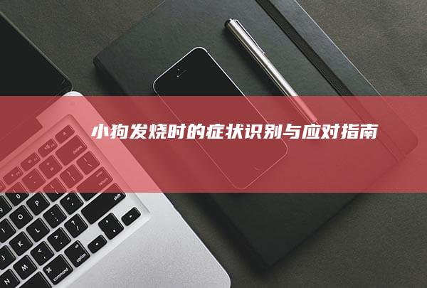 小狗发烧时的症状识别与应对指南